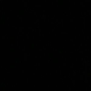 Meet your Posher, Broward